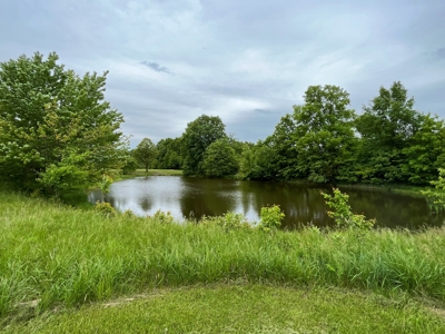 Versatile Tract With Building Sites - Macon County, Mo - image 14