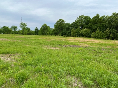Versatile Tract With Building Sites - Macon County, Mo - image 9