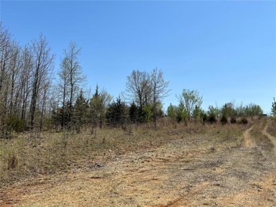 I-44 frontage St. Robert MO land for Sale Pulaski Co - image 3