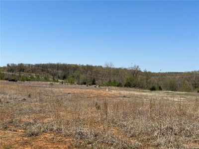 I-44 frontage St. Robert MO land for Sale Pulaski Co - image 4