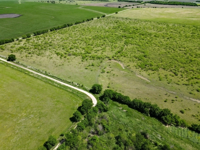 78 Acres in Dawson, Texas Farm and Ranch - image 2