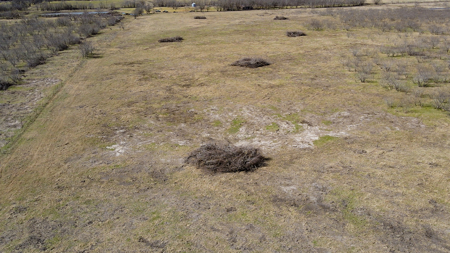 78 Acres in Dawson, Texas Farm and Ranch - image 9