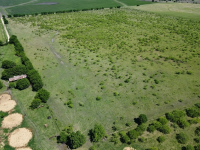 78 Acres in Dawson, Texas Farm and Ranch - image 4