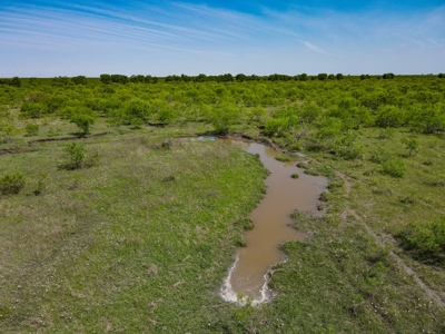 78 Acres in Dawson, Texas Farm and Ranch - image 3