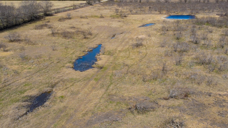 78 Acres in Dawson, Texas Farm and Ranch - image 8