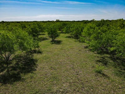 78 Acres in Dawson, Texas Farm and Ranch - image 5