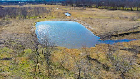 78 Acres in Dawson, Texas Farm and Ranch - image 6