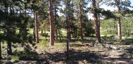 Mountain Retreat - image 16