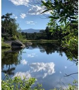 Mountain Retreat - image 19