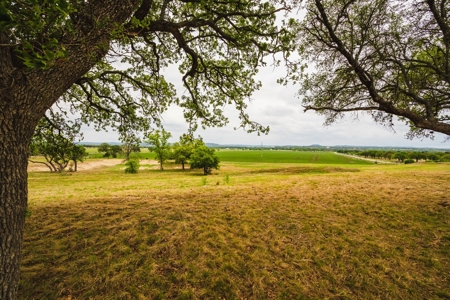 100+ acres priced to sell just outside of Comfort, TX! - image 3