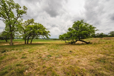 100+ acres priced to sell just outside of Comfort, TX! - image 5