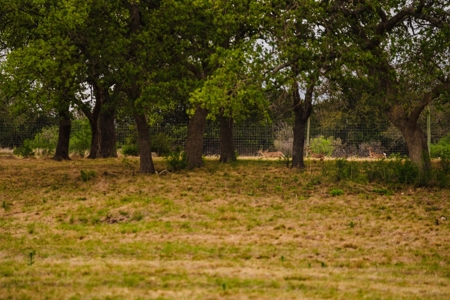 100+ acres priced to sell just outside of Comfort, TX! - image 10