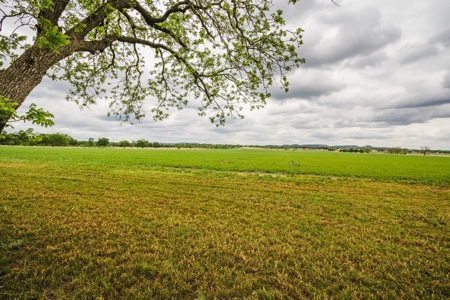 100+ acres priced to sell just outside of Comfort, TX! - image 6