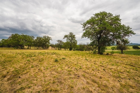 100+ acres priced to sell just outside of Comfort, TX! - image 14