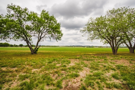 100+ acres priced to sell just outside of Comfort, TX! - image 9