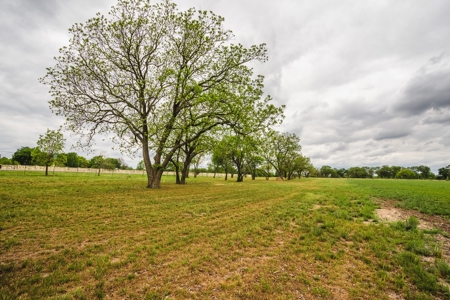100+ acres priced to sell just outside of Comfort, TX! - image 4