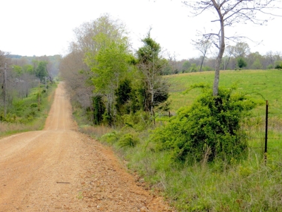 Farm-Homesites-Acreage For Sale in Thayer, MO - image 1