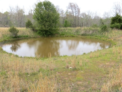 Farm-Homesites-Acreage For Sale in Thayer, MO - image 3