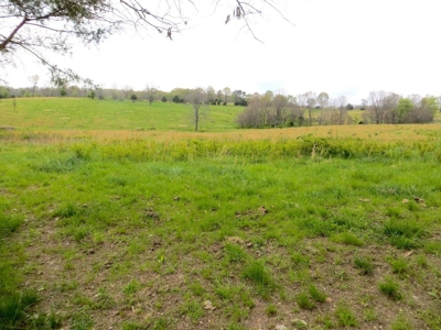 Farm-Homesites-Acreage For Sale in Thayer, MO - image 5