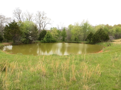 Farm-Homesites-Acreage For Sale in Thayer, MO - image 4