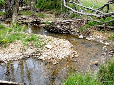 Farm-Homesites-Acreage For Sale in Thayer, MO - image 6