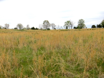 Farm-Homesites-Acreage For Sale in Thayer, MO - image 9