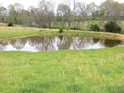 Farm-Homesites-Acreage For Sale in Thayer, MO - image 2