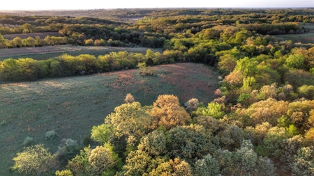 Clarke County, Iowa Great Hunting w/Good Ag & CRP Income - image 1