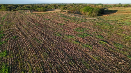 Clarke County, Iowa Great Hunting w/Good Ag & CRP Income - image 23