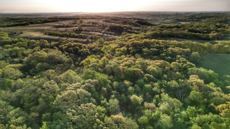 Clarke County, Iowa Great Hunting w/Good Ag & CRP Income - image 22