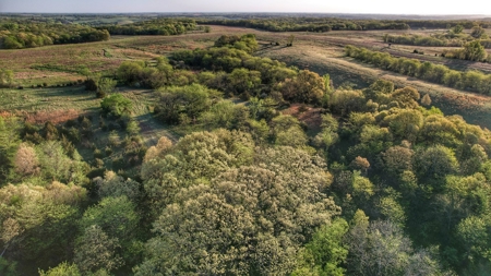 Clarke County, Iowa Great Hunting w/Good Ag & CRP Income - image 25