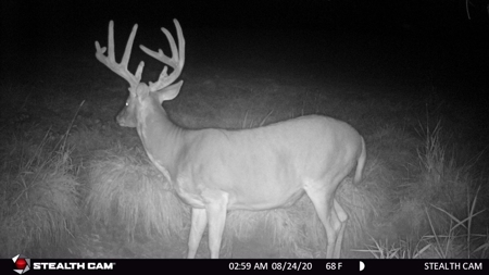 Clarke County, Iowa Great Hunting w/Good Ag & CRP Income - image 10