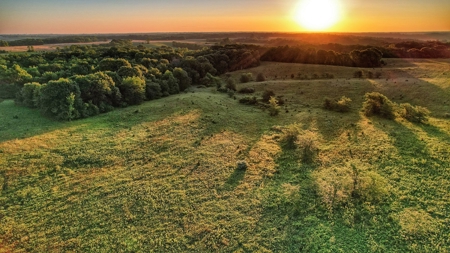 Clarke County, Iowa Great Hunting w/Good Ag & CRP Income - image 48