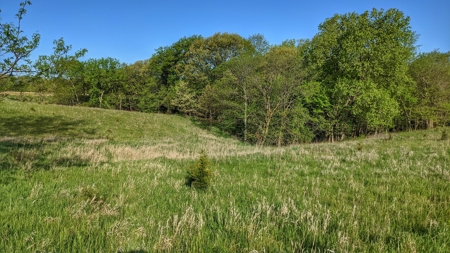 Clarke County, Iowa Great Hunting w/Good Ag & CRP Income - image 32