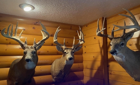 Clarke County, Iowa Great Hunting w/Good Ag & CRP Income - image 14