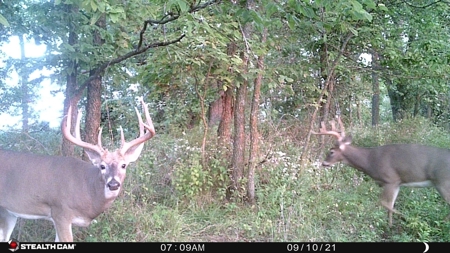 Clarke County, Iowa Great Hunting w/Good Ag & CRP Income - image 8