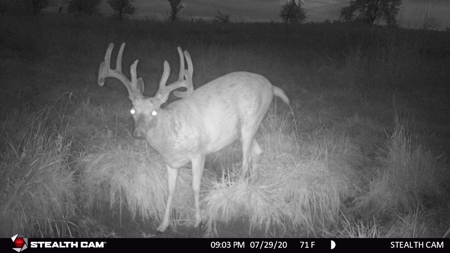 Clarke County, Iowa Great Hunting w/Good Ag & CRP Income - image 7
