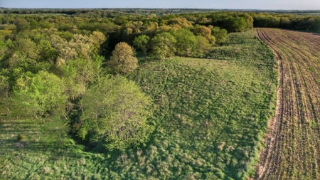 Clarke County, Iowa Great Hunting w/Good Ag & CRP Income - image 28