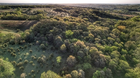 Clarke County, Iowa Great Hunting w/Good Ag & CRP Income - image 27