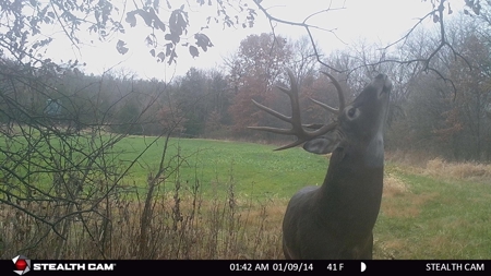 Clarke County, Iowa Great Hunting w/Good Ag & CRP Income - image 9