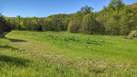 Clarke County, Iowa Great Hunting w/Good Ag & CRP Income - image 33