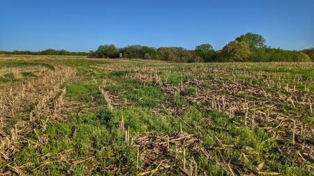 Clarke County, Iowa Great Hunting w/Good Ag & CRP Income - image 5