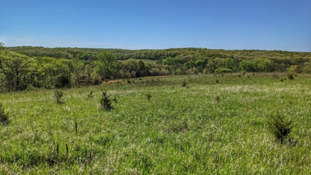 Clarke County, Iowa Great Hunting w/Good Ag & CRP Income - image 39