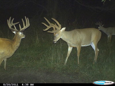 Clarke County, Iowa Great Hunting w/Good Ag & CRP Income - image 20