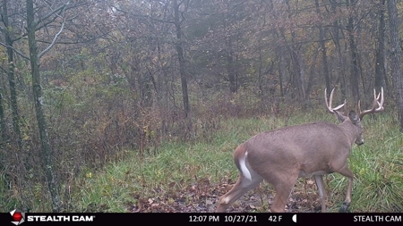 Clarke County, Iowa Great Hunting w/Good Ag & CRP Income - image 17