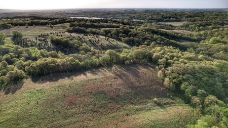 Clarke County, Iowa Great Hunting w/Good Ag & CRP Income - image 3