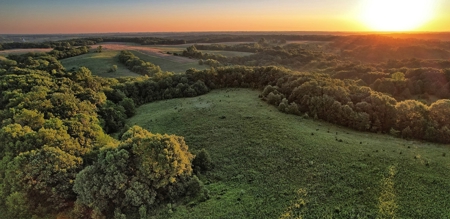 Clarke County, Iowa Great Hunting w/Good Ag & CRP Income - image 49