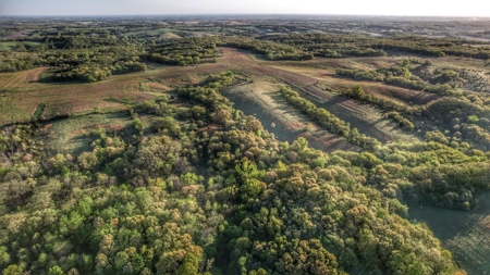 Clarke County, Iowa Great Hunting w/Good Ag & CRP Income - image 2