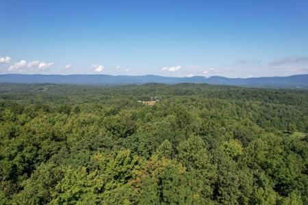 16.625 Acres of Land For Sale in Patrick County, Virginia - image 22