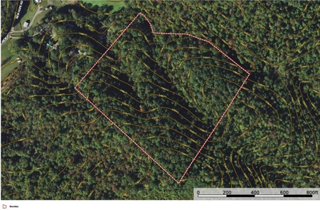 16.625 Acres of Land For Sale in Patrick County, Virginia - image 10